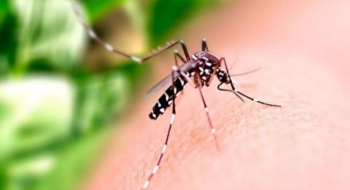 Em apenas 5 meses, Brasil supera número de mortes por dengue registrados em 2021